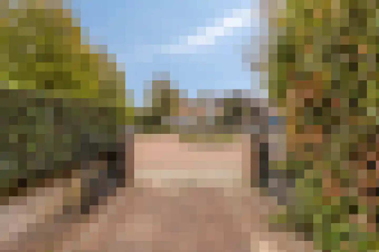 Zeedahliaweg 1 Renesse thumbnail 46