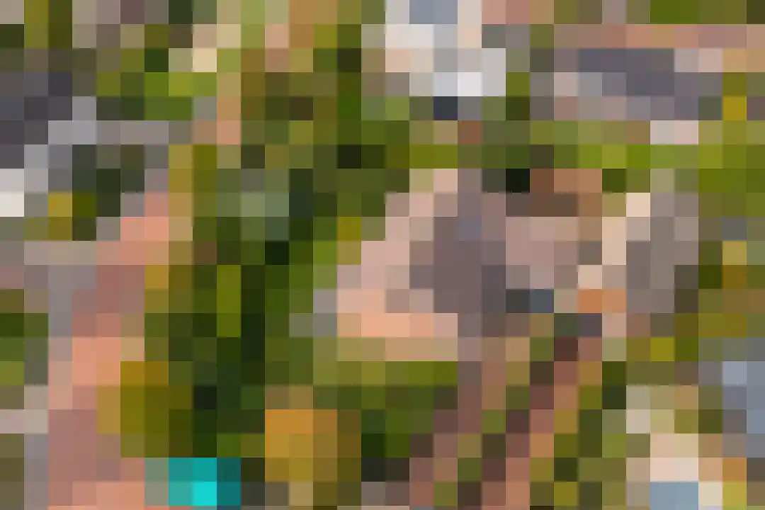 Zeedahliaweg 1 Renesse thumbnail 47