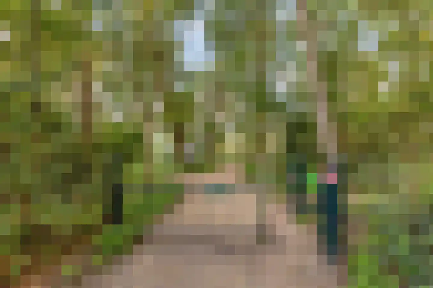 Zeedahliaweg 1 Renesse thumbnail 49