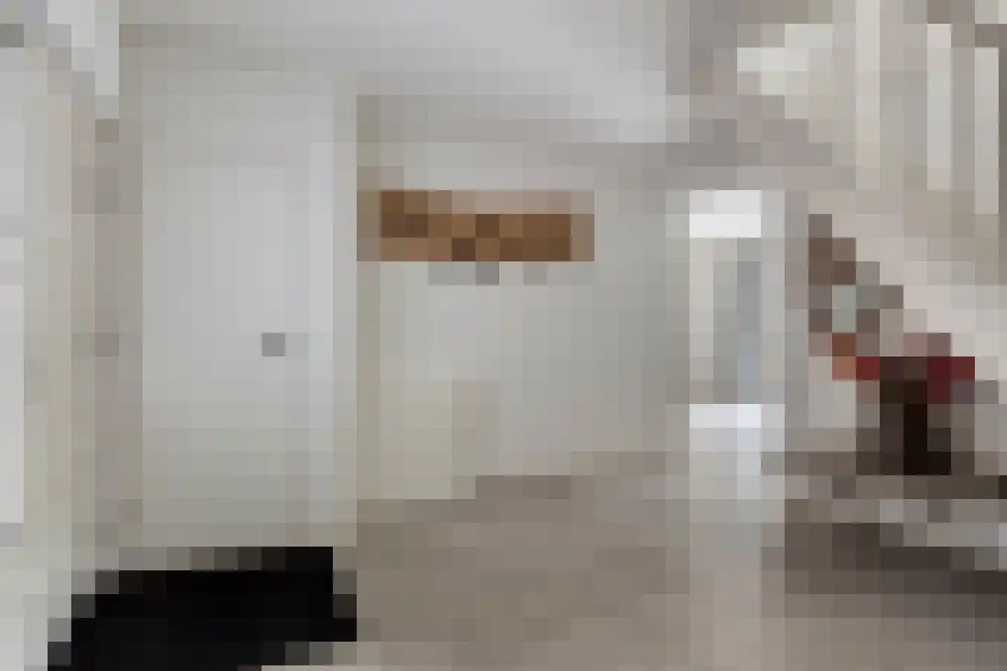 Zeedahliaweg 1 Renesse thumbnail 5