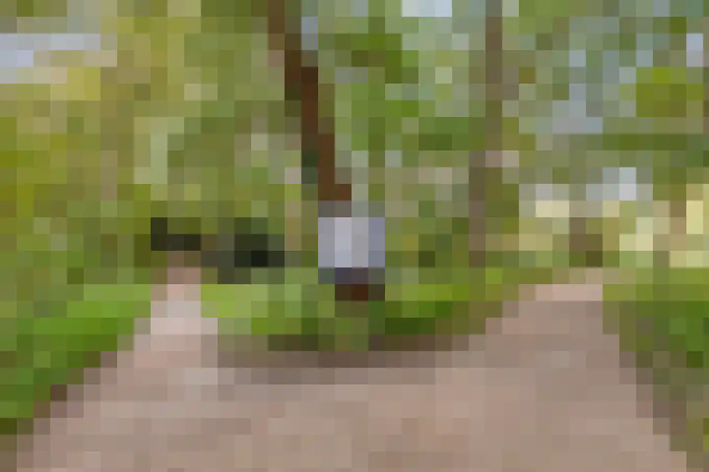 Zeedahliaweg 1 Renesse thumbnail 50