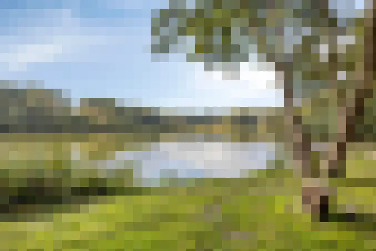Zeedahliaweg 1 Renesse thumbnail 51