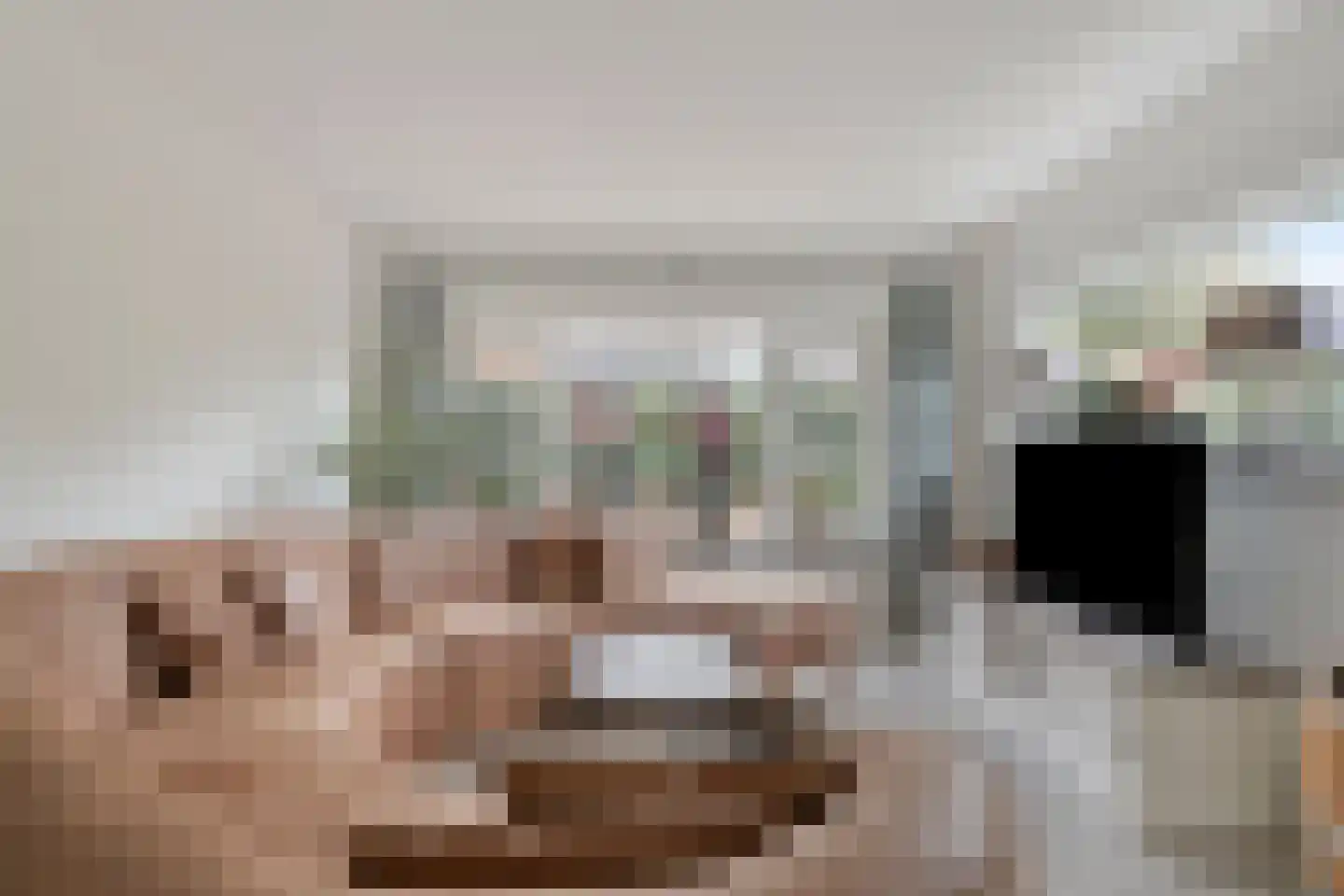 Zeedahliaweg 1 Renesse thumbnail 6