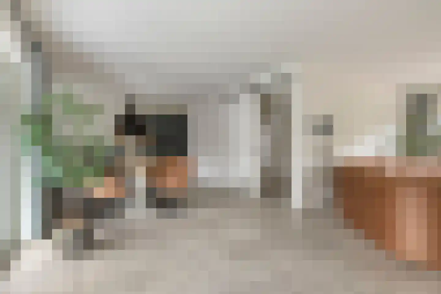 Zeedahliaweg 1 Renesse thumbnail 7