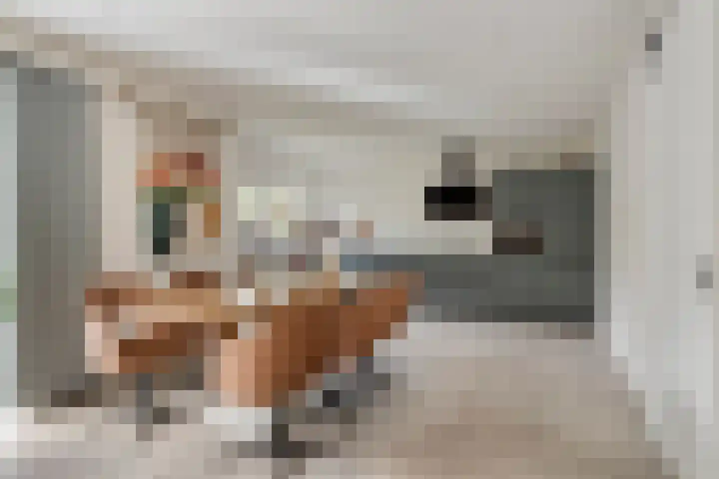Zeedahliaweg 1 Renesse thumbnail 9