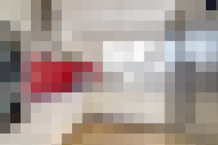 Zeedahliaweg 24 Renesse thumbnail 10