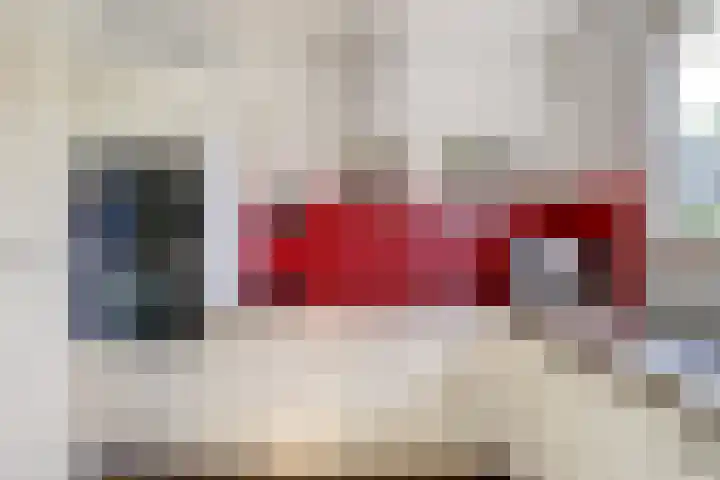 Zeedahliaweg 24 Renesse thumbnail 11