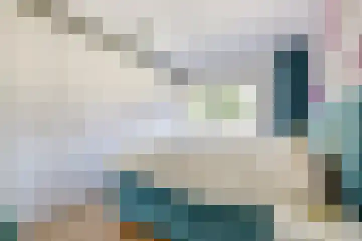 Zeedahliaweg 24 Renesse thumbnail 12