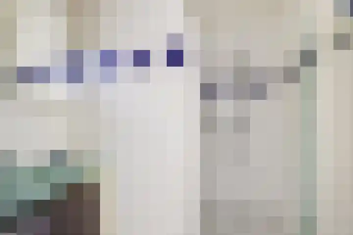 Zeedahliaweg 24 Renesse thumbnail 13