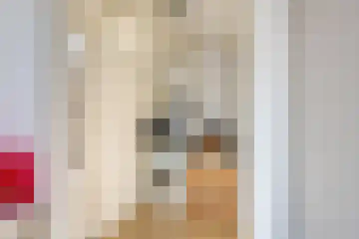 Zeedahliaweg 24 Renesse thumbnail 15