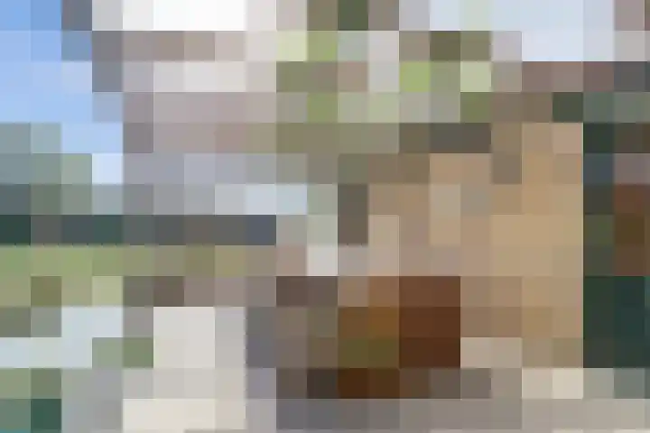 Zeedahliaweg 24 Renesse thumbnail 17