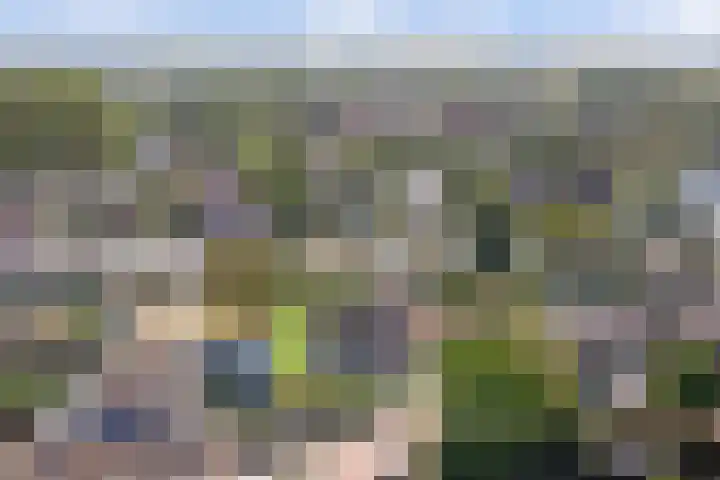 Zeedahliaweg 24 Renesse thumbnail 19