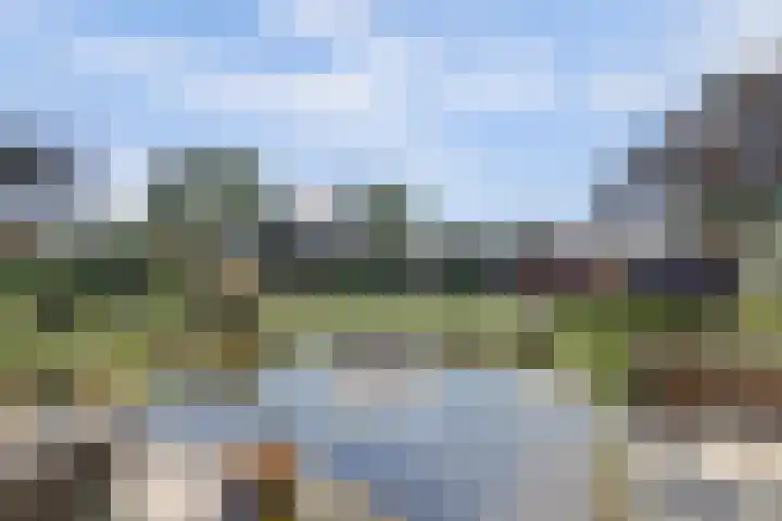 Zeedahliaweg 24 Renesse thumbnail 20