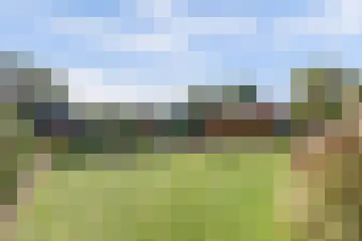 Zeedahliaweg 24 Renesse thumbnail 22