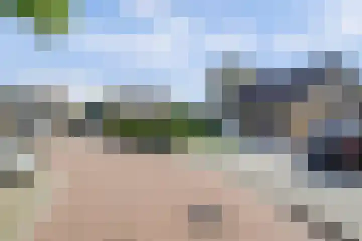 Zeedahliaweg 24 Renesse thumbnail 23