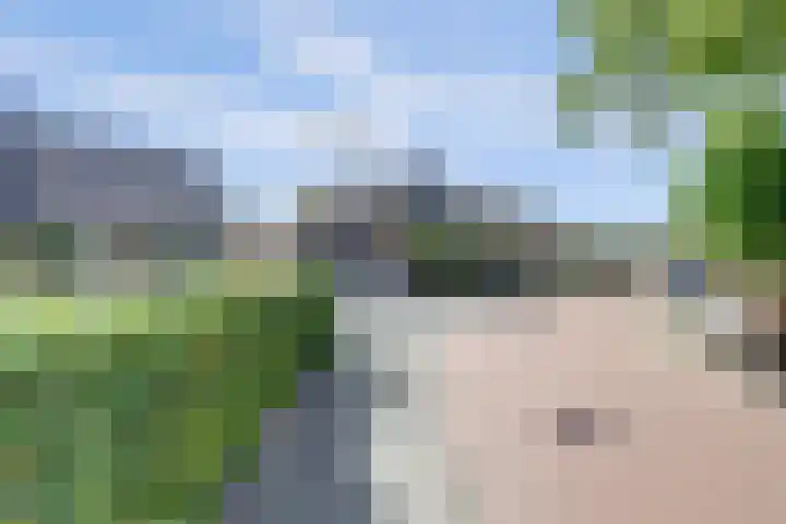 Zeedahliaweg 24 Renesse thumbnail 24
