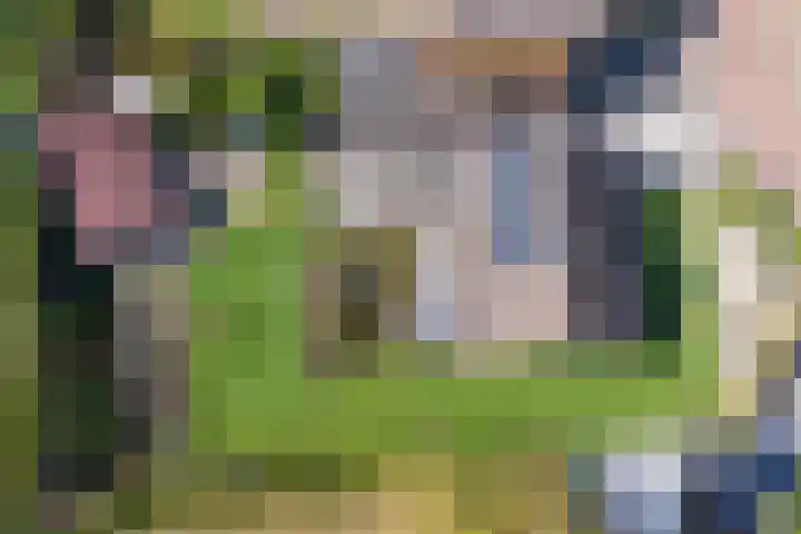 Zeedahliaweg 24 Renesse thumbnail 25