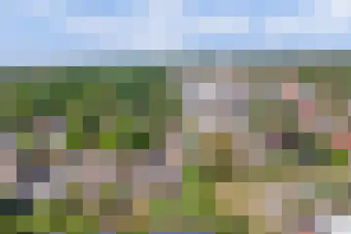 Zeedahliaweg 24 Renesse thumbnail 26