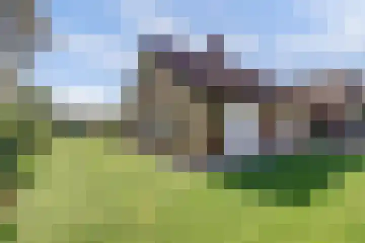 Zeedahliaweg 24 Renesse thumbnail 4