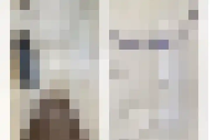 Zeedahliaweg 24 Renesse thumbnail 5