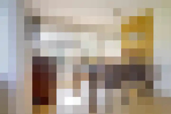 Zeedahliaweg 24 Renesse thumbnail 8