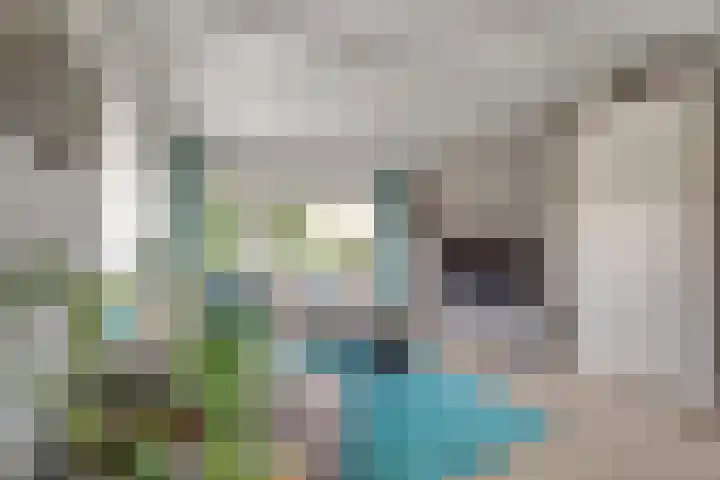 Zeedijk 1 Oudenhoorn thumbnail 14