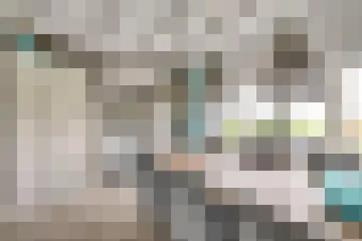 Zeedijk 1 Oudenhoorn thumbnail 16