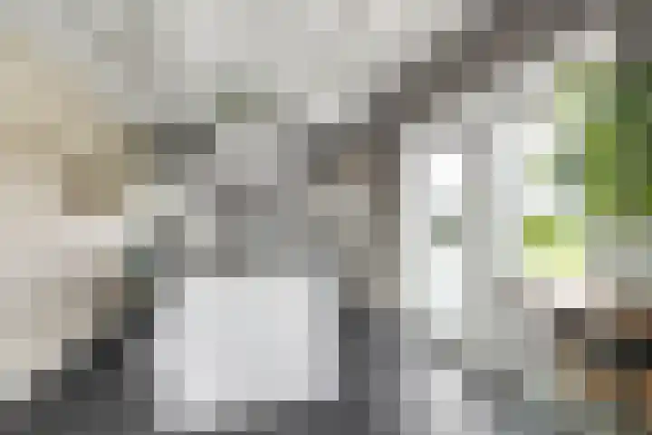 Zeedijk 1 Oudenhoorn thumbnail 17