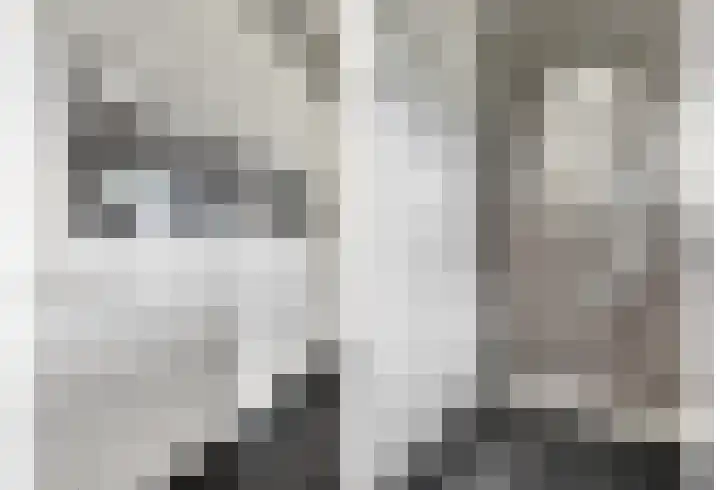 Zeedijk 1 Oudenhoorn thumbnail 19