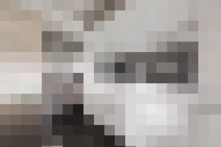 Zeedijk 1 Oudenhoorn thumbnail 20