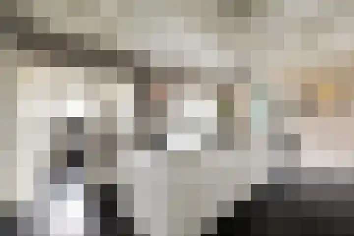 Zeedijk 1 Oudenhoorn thumbnail 21
