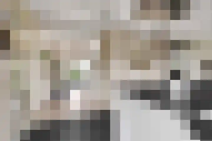 Zeedijk 1 Oudenhoorn thumbnail 23