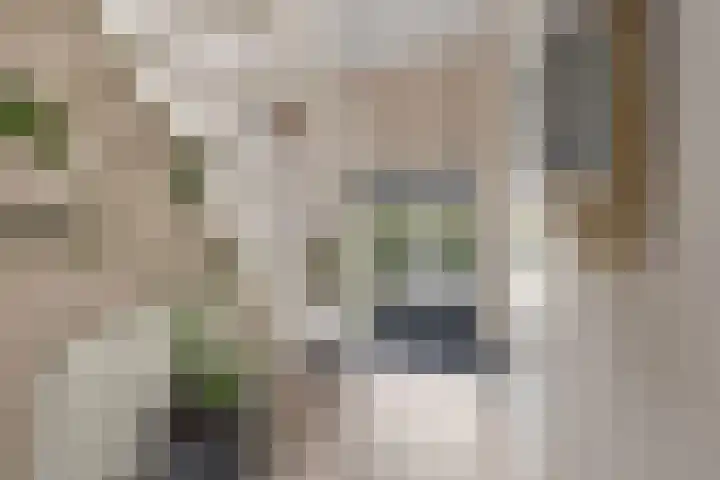 Zeedijk 1 Oudenhoorn thumbnail 24