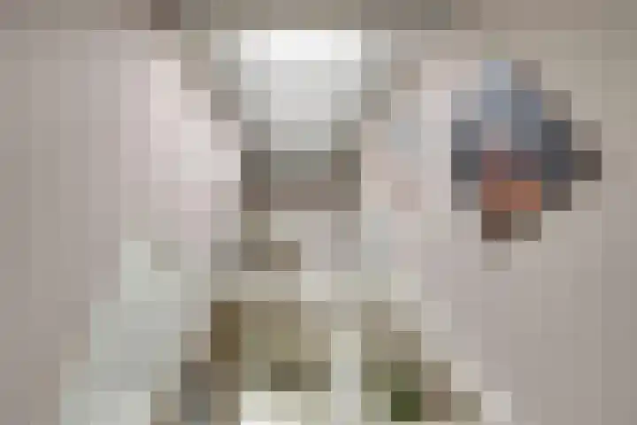 Zeedijk 1 Oudenhoorn thumbnail 25