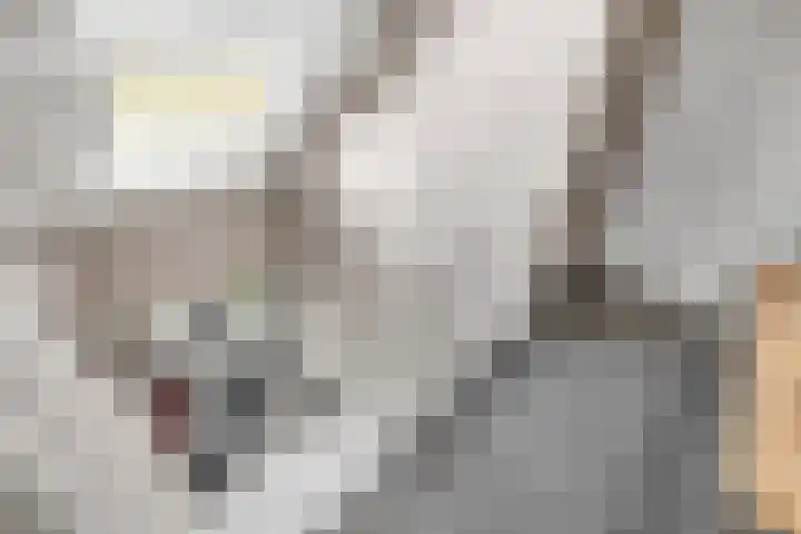 Zeedijk 1 Oudenhoorn thumbnail 26
