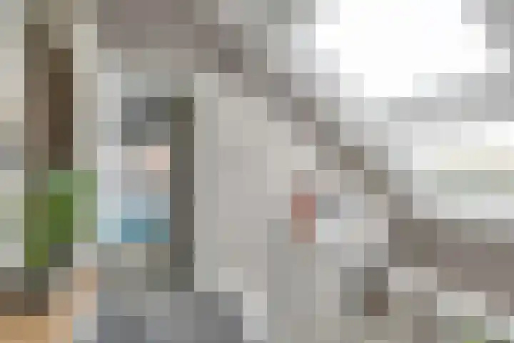 Zeedijk 1 Oudenhoorn thumbnail 27