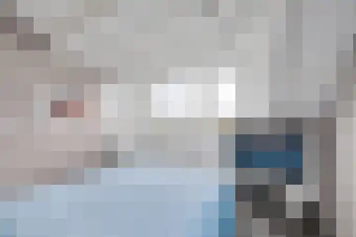 Zeedijk 1 Oudenhoorn thumbnail 30