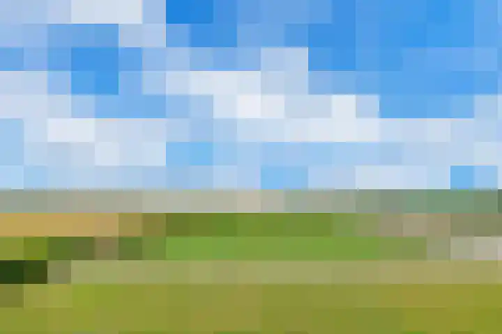 Zeedijk 1 Oudenhoorn thumbnail 32