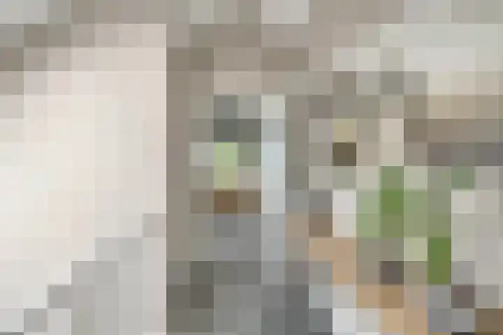 Zeedijk 1 Oudenhoorn thumbnail 39
