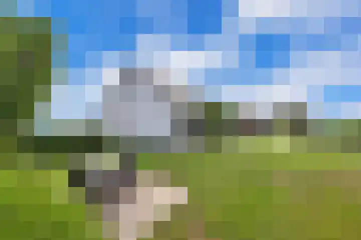Zeedijk 1 Oudenhoorn thumbnail 41