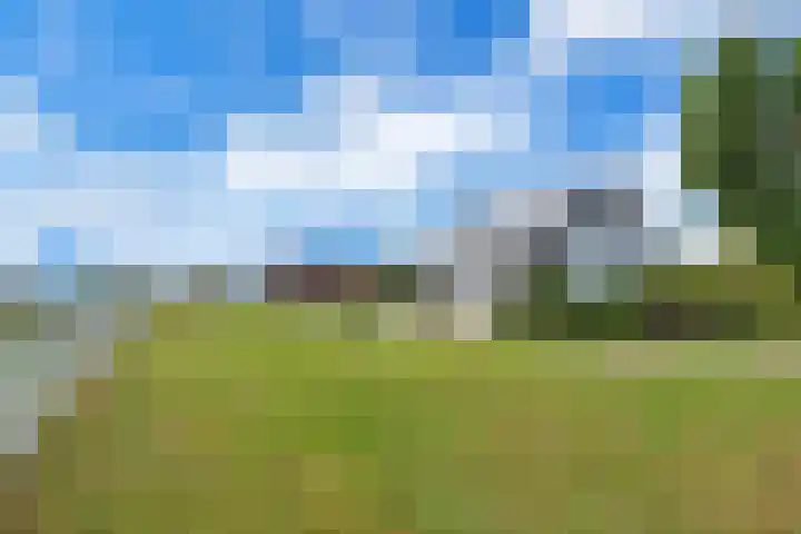 Zeedijk 1 Oudenhoorn thumbnail 42