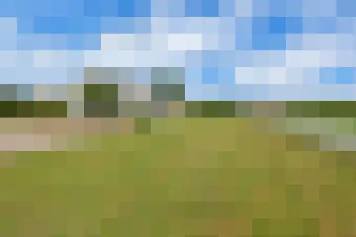Zeedijk 1 Oudenhoorn thumbnail 43