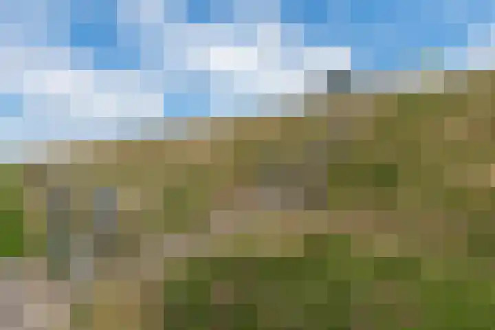 Zeedijk 1 Oudenhoorn thumbnail 49