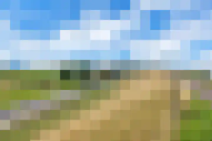 Zeedijk 1 Oudenhoorn thumbnail 51