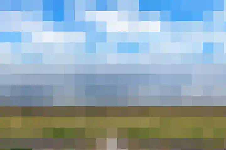 Zeedijk 1 Oudenhoorn thumbnail 52