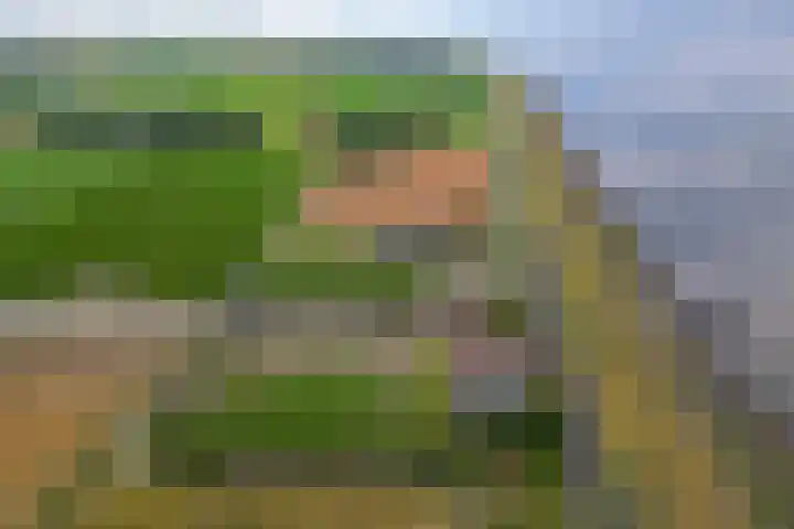 Zeedijk 1 Oudenhoorn thumbnail 54