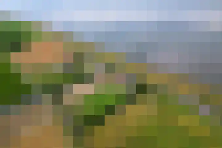 Zeedijk 1 Oudenhoorn thumbnail 55