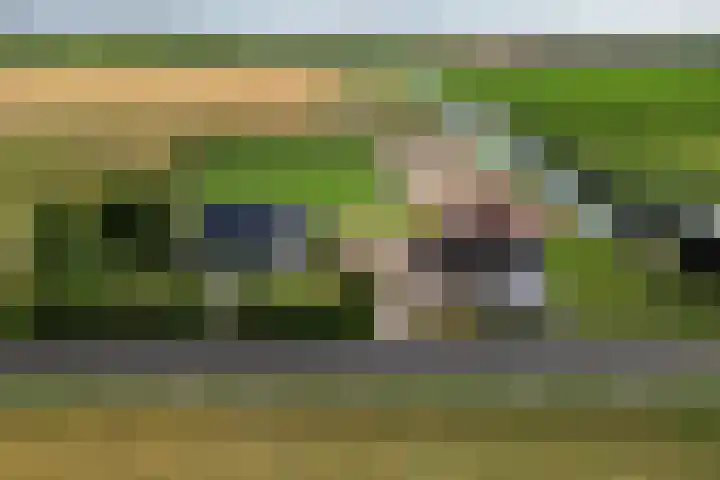 Zeedijk 1 Oudenhoorn thumbnail 59