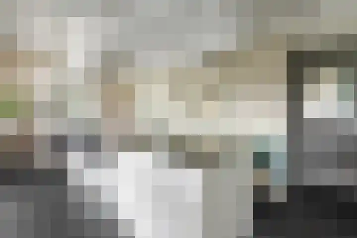 Zeedijk 1 Oudenhoorn thumbnail 6