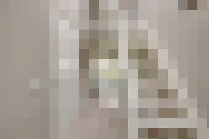 Zeedijk 1 Oudenhoorn thumbnail 8